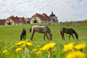 Отель Stadnina Koni Nad Wigrami  Миколаево